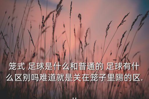 籠式 足球是什么和普通的 足球有什么區(qū)別嗎難道就是關在籠子里踢的區(qū)...