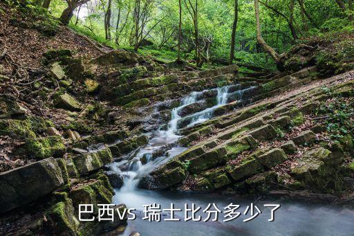 巴西與瑞士足球國家隊,巴西足球國家隊陣容2022