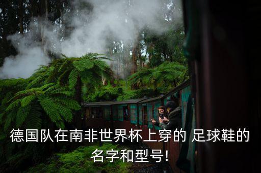 德國隊(duì)在南非世界杯上穿的 足球鞋的名字和型號!