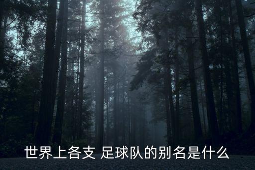 巴西和巴拉圭足球隊(duì),巴拉圭足球隊(duì)世界排名