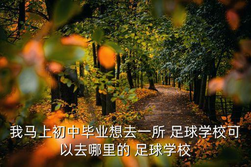 我馬上初中畢業(yè)想去一所 足球?qū)W校可以去哪里的 足球?qū)W校