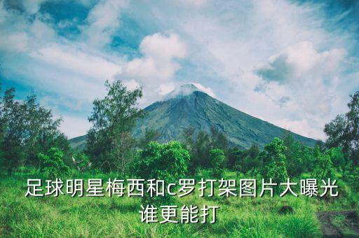  足球明星梅西和c羅打架圖片大曝光誰更能打