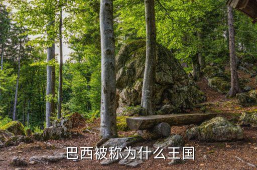  巴西被稱為什么王國