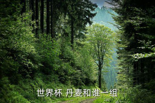 丹麥2018足球陣容,丹麥足球國家隊陣容