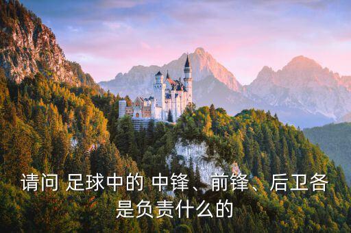 請問 足球中的 中鋒、前鋒、后衛(wèi)各是負責(zé)什么的