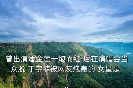 曾出演潘金蓮一炮而紅,后在演唱會(huì)當(dāng)眾脫 丁字褲被網(wǎng)友炮轟的 女星是...