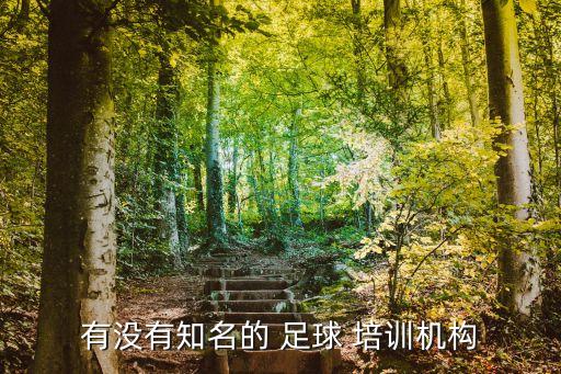 有沒有知名的 足球 培訓(xùn)機(jī)構(gòu)