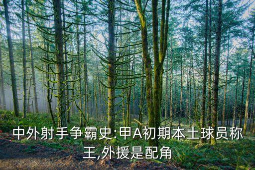 中外射手爭(zhēng)霸史:甲A初期本土球員稱(chēng)王,外援是配角