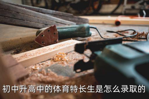 初中升高中的體育特長(zhǎng)生是怎么錄取的