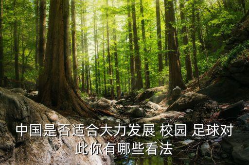 評價校園足球,以校園足球為主題的征文