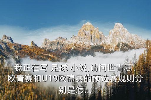 我正在寫 足球 小說,請問世青賽、歐青賽和U19歐錦賽的預(yù)選賽規(guī)則分別是怎...