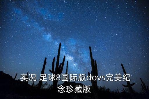  實(shí)況 足球8國(guó)際版dovs完美紀(jì)念珍藏版