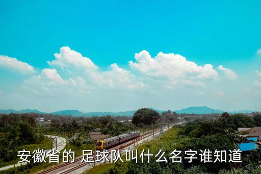 省足球隊(duì),中國(guó)各個(gè)省足球隊(duì)