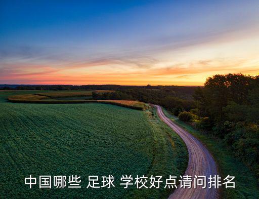 中國哪些 足球 學(xué)校好點請問排名