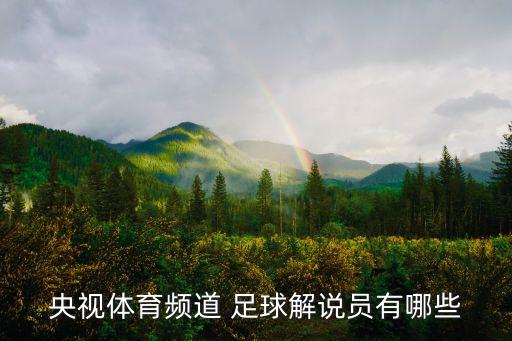 劉建宏世界杯中國足球