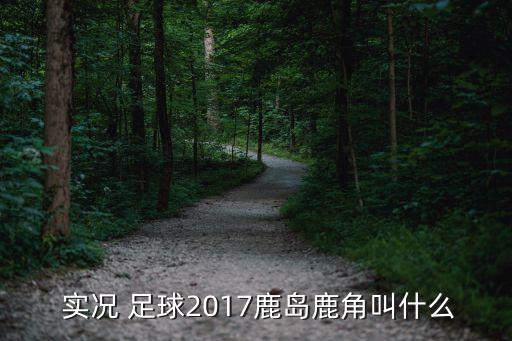 實況足球2017所有綽號