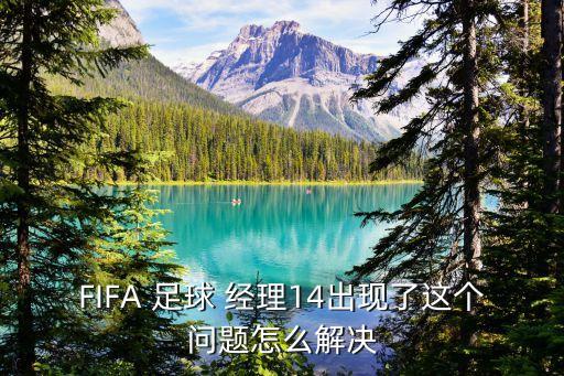 FIFA 足球 經(jīng)理14出現(xiàn)了這個問題怎么解決