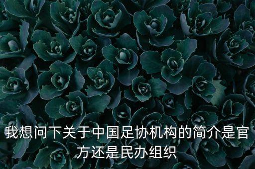足球協(xié)會(huì)的性質(zhì),涇川縣足球協(xié)會(huì)