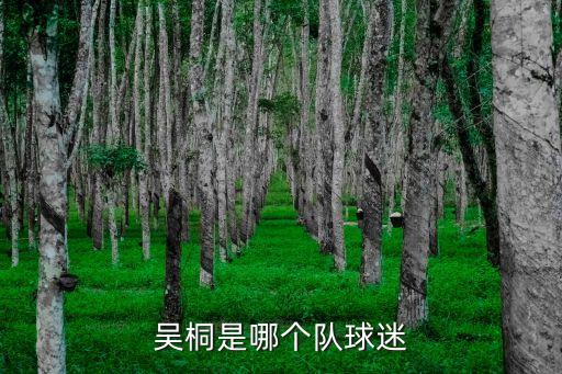 吳桐是哪個隊球迷
