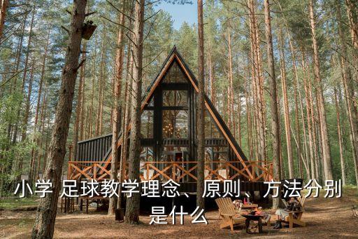 小學(xué) 足球教學(xué)理念、原則、方法分別是什么