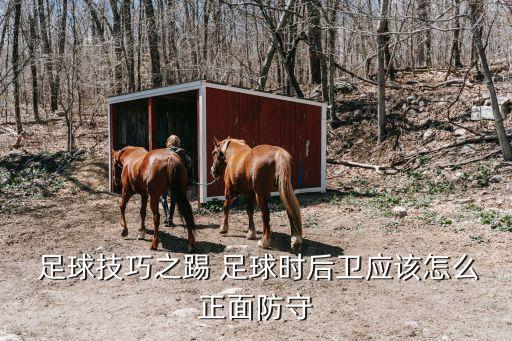  足球技巧之踢 足球時后衛(wèi)應(yīng)該怎么正面防守