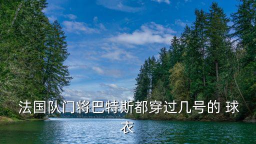  法國(guó)隊(duì)門(mén)將巴特斯都穿過(guò)幾號(hào)的 球衣