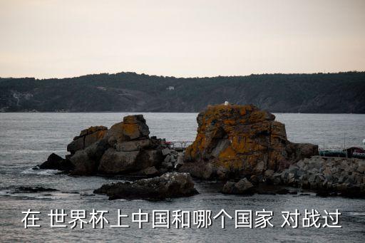 2008世界杯足球賽對戰(zhàn),今年第一場世界杯足球賽是哪兩個國家對戰(zhàn)