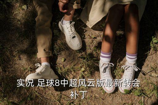 實(shí)況足球2008中國(guó)隊(duì)補(bǔ)丁下載