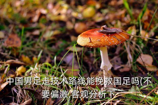 中國男足走技術(shù)路線能挽救國足嗎(不要偏激,客觀分析下