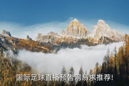 國際足球直播預(yù)告網(wǎng)易求推薦!
