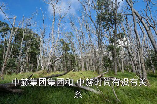 中赫國安足球培訓(xùn)學(xué)校,北京中赫國安校園足球