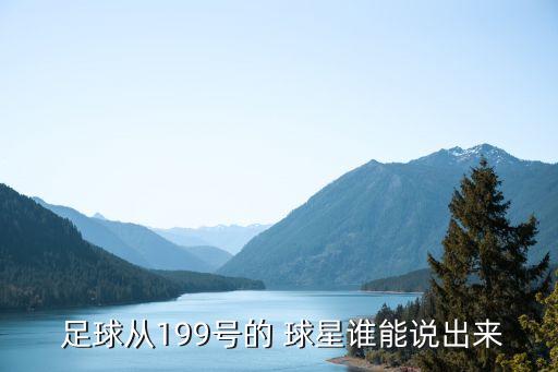  足球從199號(hào)的 球星誰能說出來