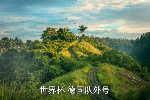 世界杯 德國隊(duì)外號(hào)