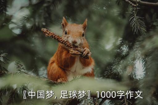 〖中國(guó)夢(mèng), 足球夢(mèng)〗1000字作文