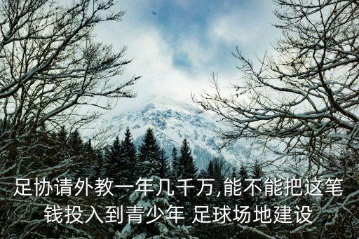 足協(xié)請(qǐng)外教一年幾千萬(wàn),能不能把這筆錢(qián)投入到青少年 足球場(chǎng)地建設(shè)