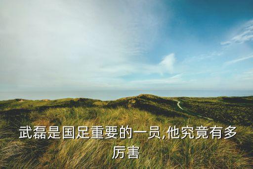  武磊是國足重要的一員,他究竟有多厲害