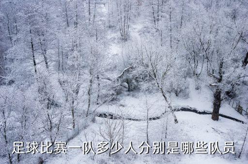 職業(yè)足球隊(duì)幾名球員,青島有幾支職業(yè)足球隊(duì)