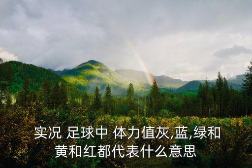  實(shí)況 足球中 體力值灰,藍(lán),綠和黃和紅都代表什么意思