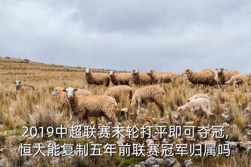 北京人和足球隊2019成績