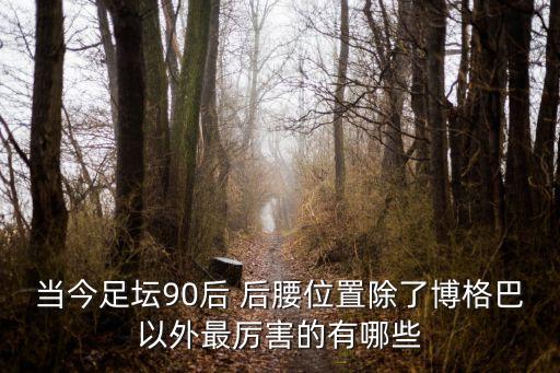 當(dāng)今足壇90后 后腰位置除了博格巴以外最厲害的有哪些