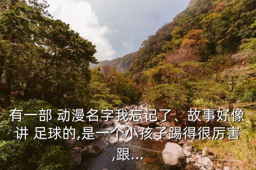 有一部 動漫名字我忘記了、故事好像講 足球的,是一個小孩子踢得很厲害,跟...