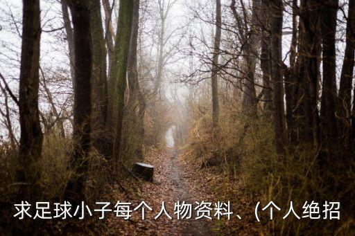 求足球小子每個人物資料、(個人絕招