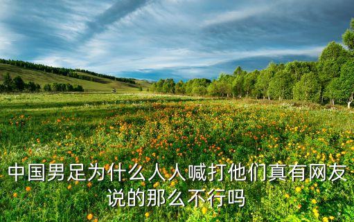 中國男足為什么人人喊打他們真有網(wǎng)友說的那么不行嗎