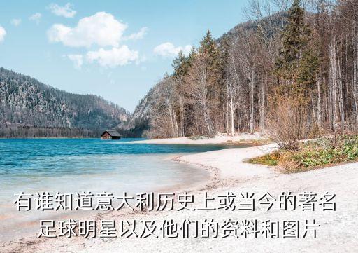 有誰知道意大利歷史上或當今的著名 足球明星以及他們的資料和圖片