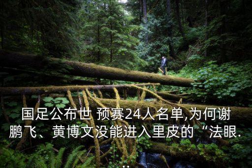 國足公布世 預賽24人名單,為何謝鵬飛、黃博文沒能進入里皮的“法眼...