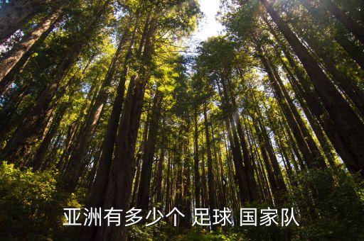 有幾個(gè)踢足球的國家,世界上踢足球最強(qiáng)的國家