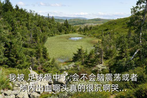 我被 足球砸中了,會(huì)不會(huì)腦震蕩或者顱內(nèi)出血啊頭真的很沉啊哭...
