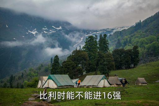 比利時國家足球隊官方,22年比利時國家足球隊