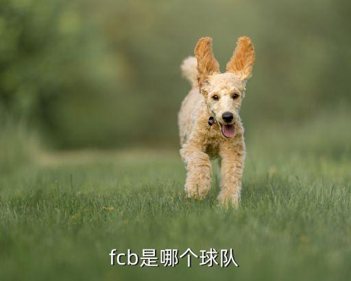fcb是哪個(gè)球隊(duì)