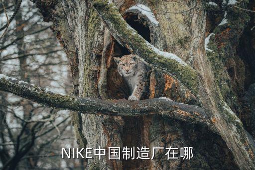 NIKE中國制造廠在哪